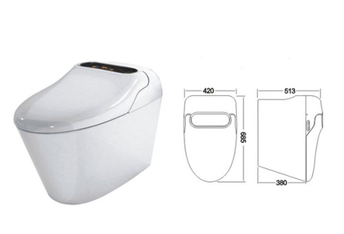 Bồn cầu điện tử CRW